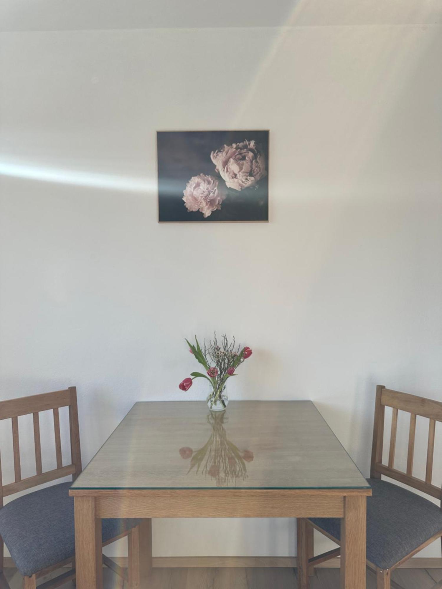 Vanessa Apartment 류블랴나 외부 사진